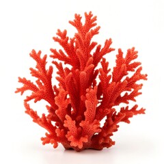 Naklejka premium Red Coral Isolated Marine Life Object against a bright white background.