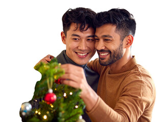 Happy gay mixed ethnicity couple decorating a small Christmas tree