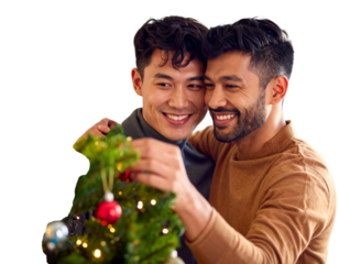 Happy gay mixed ethnicity couple decorating a small Christmas tree