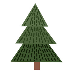 Coniferous tree isolated on white background