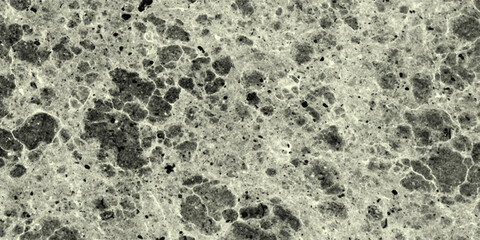 Close-up abstract texture of a mottled, porous surface in sepia tones with dark specks and light veins, offering a naturalistic background for design and artistic purposes