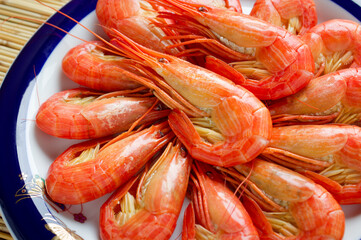 北海シマエビ,