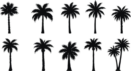 Collection of tropical palm tree silhouettes, black coconut tree vector set, summer beach landscape design elements for vacation illustration © Kartik Creative