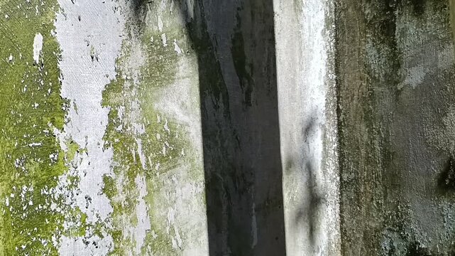 Bayangan pipa yang terkena sinar matahari di dinding yang ditumbuhi lumut hijau dari jarak dekat 