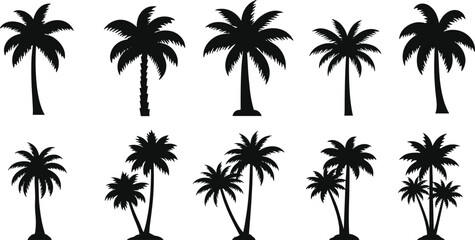 Set of tropical palm tree silhouettes, beach coconut trees vector illustration, summer vacation nature design elements for logo and decor