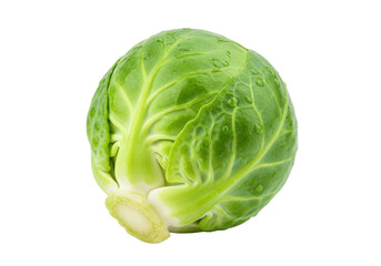 Fototapeta premium Fresh green Brussels sprout isolated PNG, healthy vegetable for cooking and salads on transparent background