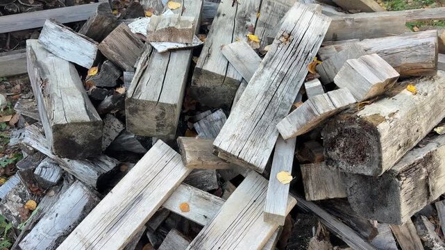 boards and logs lie in a pile with autumn leaves on top