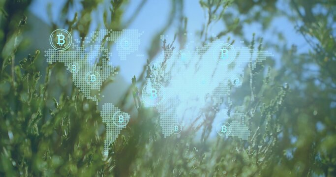 Dotted world map graphic with Bitcoin icons displaying over dense sunlit green plant foliage