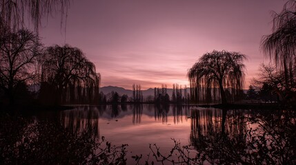 willow. Tranquil lakeside scene with weeping willow and pastel sky mirrored in calm waters. travel magazines, destination branding, designed for outdoor magazines and nature guides.