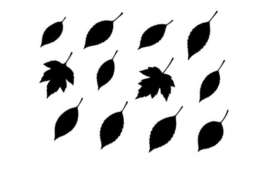 Autumn leaves silhouette set, falling maple and tree foliage pattern on transparent background - Powered by Adobe