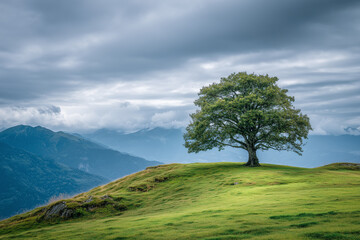Fototapeta premium Minimal nature landscape with one tree and grassland