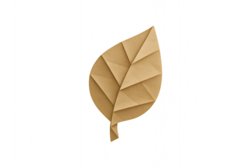 Sustainable Packaging