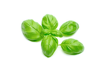 Green basil leaves isolated on white background