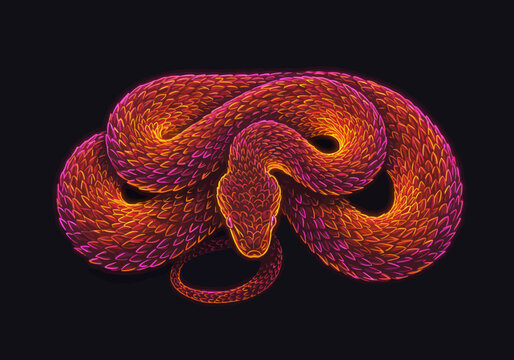 A vibrant, coiled snake illustration with intricate patterns on a dark background from a close-up viewpoint