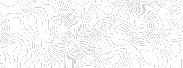 Topographic map seamless pattern contour lines on white background vector illustration for cartography and geography projects © Romana