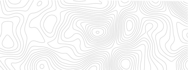 Topographic map lines abstract vector illustration contour geography scheme for cartography and terrain elevation