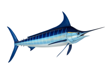 A vibrant blue marlin swims gracefully, displaying its pointed bill and striped body. This majestic ocean fish is a transparent png isolated image.