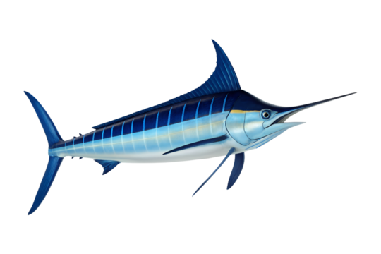 A vibrant blue marlin swims gracefully, displaying its pointed bill and striped body. This majestic ocean fish is a transparent png isolated image.