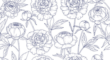 Fototapeta premium Elegant Peony Floral Pattern Dark Blue Outline on Black Background