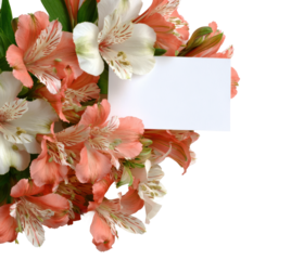 Floral arrangement presentation bright isolated on transparent background