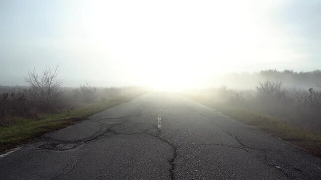 Desolate cracked asphalt road disappearing into thick fog with bare trees and overgrown bushes on either side, creating