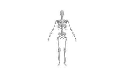 3D Render a skeleton with a skeleton on it's back