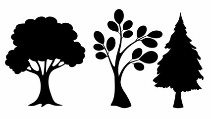 Three silhouetted trees including a broadleaf tree, a leafy tree, and a coniferous evergreen tree