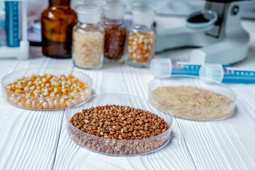 cereals in petri dish for analysis on wooden background