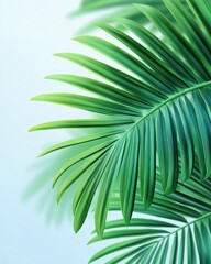 Green tropical palm leaves with shadows on light blue background