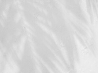 Fototapeta premium Shadow palm leaf summer background overlay grey color template mockup pastel minimal for presentation product cosmetic aesthetic beauty, poster backdrop artistic marketing, sunshine nature room.