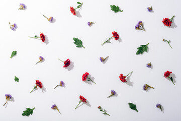 Red and blue lowers scattered on white background with hard shadows. Flat lay floral pattern