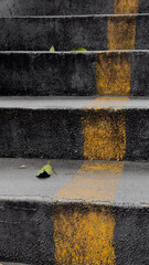 Stair steps with yellow safety line and fallen leaf, symbolizing simplicity, caution, and growth development