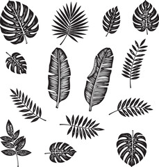 Collection of black and white tropical leaves and botanical elements in a stylized artistic design