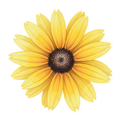 Obraz premium Golden Sunflower's Delight