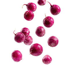 Fresh radishes falling kitchen food bright isolated on transparent background