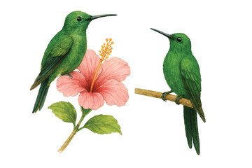 Adobe Illustrator Artwork