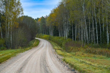 Autumn colors in the trees along the country road