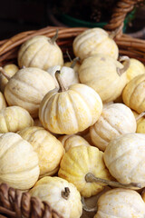 White decorative pumpkin, pumpkin for decoration in a basket close-up. Thanksgiving. Pumpkins of the 
