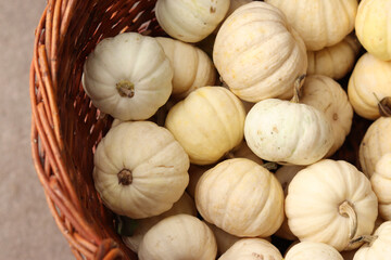 White decorative pumpkin, pumpkin for decoration in a basket close-up. Thanksgiving. Pumpkins of the 