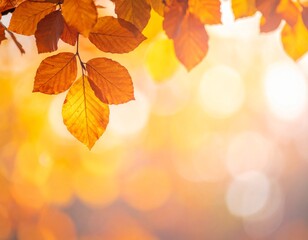 Fototapeta premium vibrant soft and beautiful autumn beech leaves isolated on bokeh pastel background