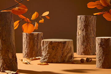 Branches, dry leaves, and logs arranged in brown tones. Perfect fall background for creative...