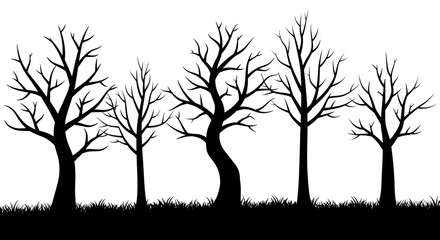 Obraz premium Monochromatic silhouette of bare trees standing tall amidst a textured ground cover underneath a vast expanse isolated on white background