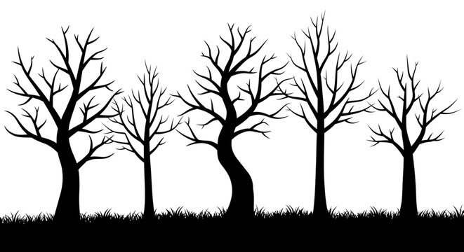 Monochromatic silhouette of bare trees standing tall amidst a textured ground cover underneath a vast expanse isolated on white background