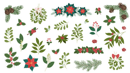 Christmas botanical set with mistletoe, holly, poinsettia, pine branches, cones and berries. Winter floral collection for festive decoration, invitations, cards and seasonal design.