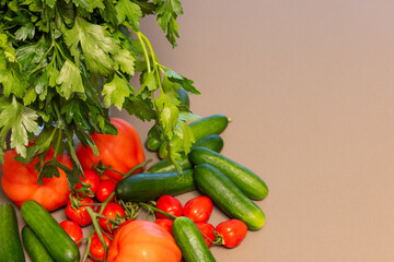 Fresh parsley with tomatoes and cucumbers arranged on table, background surface kept minimal to provide copy space