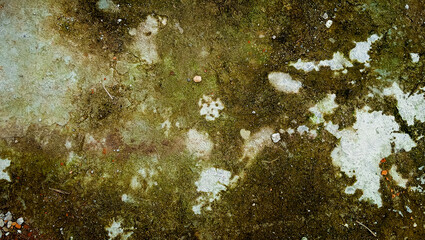 High-contrast, high-detail close-up of a dirty, wet concrete or stone surface covered in green moss and white mold/lichen. Natural grunge and aged abstract background for design and art concepts. © Ind studio