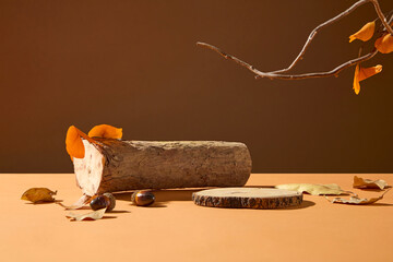 Wooden stumps and chestnuts with falling autumn leaves. Natural warm for harvest themes,...
