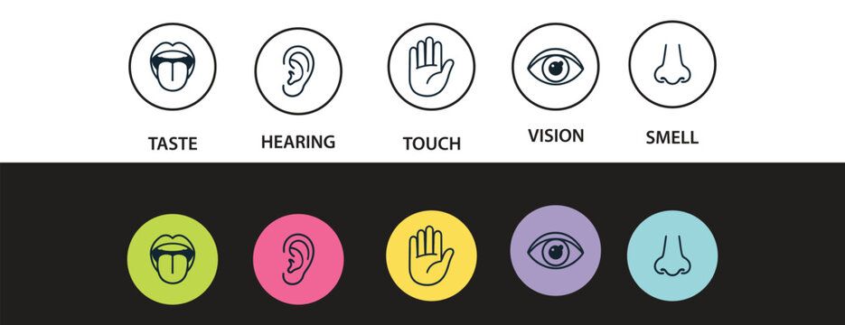 Human senses icon set. Vision eye, smell nose, hearing ear, touch hand, taste mouth with tongue. Simple line icons and black circle. Five senses of human nervous system. Vector illustration.