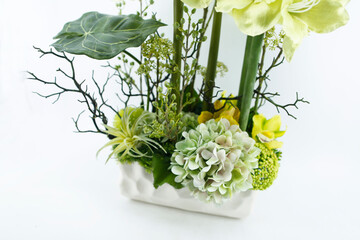 Orchid's floral art works. Photography of floral art and close-up shots.