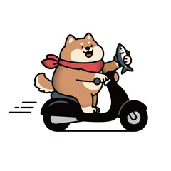 A cartoon Shiba Inu is riding a motorcycle and holding a cup of coffee